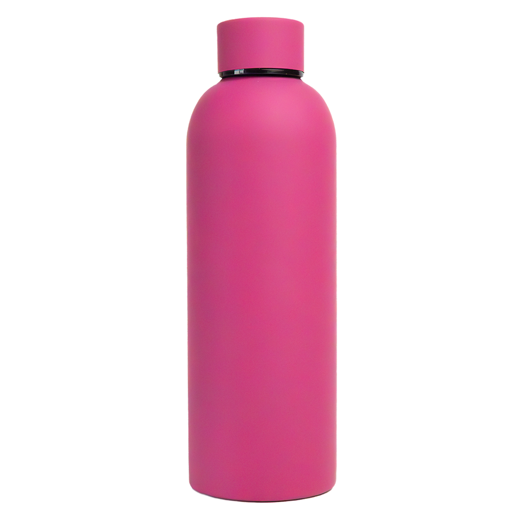 Bento Bliss Water Bottle - Pink Color