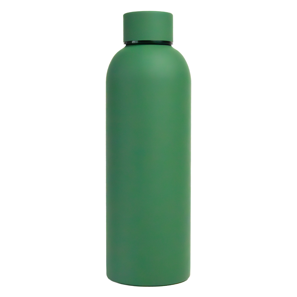 Bento Bliss Water Bottle - Green Color