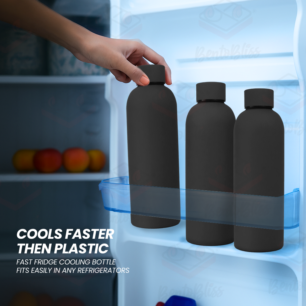 Bento Bliss Water Bottle, cools fater then plastic, easy to clean, fresh water